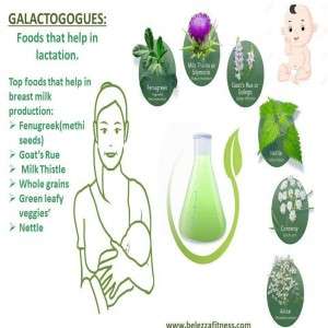Galactogogues:- Foods that will help in Lactation